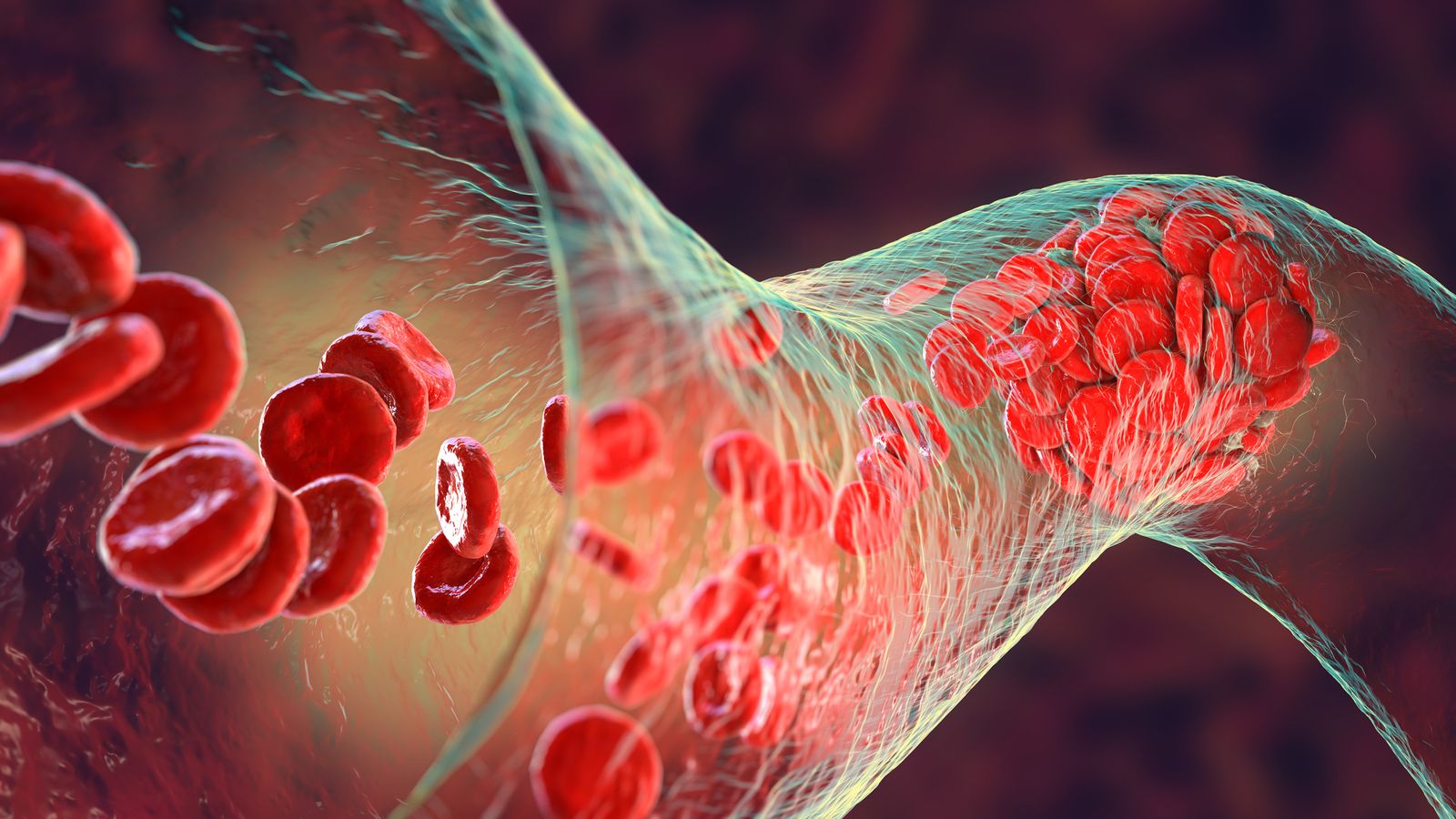 Red Blood Cells